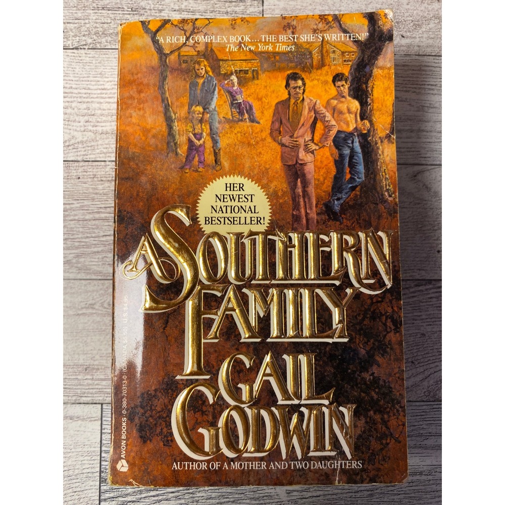 A Southern Family Gail Godwin Romance Drama Paperback Book‎ Avon Books 1988 1st